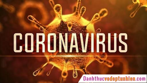 virus corona tinh hinh the gioi 3